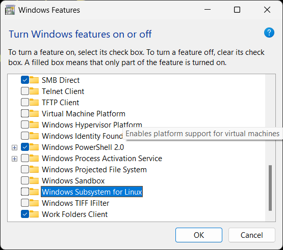 manual disable windows features